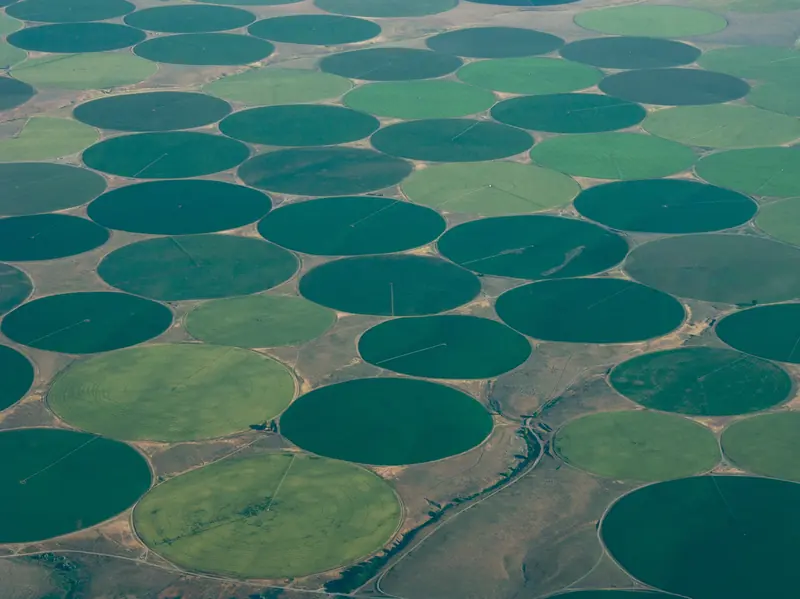 Aerial view of green center-pivot irrigation circles along the Columbia River